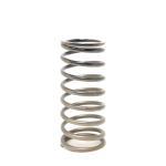 TiAL Sport Q/QR/BV50 Blow Off Valve Spring