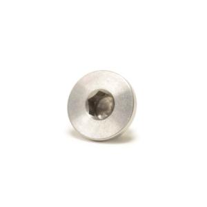 TiAL Sport MVR / MVS Wastegate Port Plug