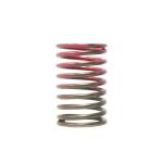 TiAL Sport QRJ Blow Off Valve Spring