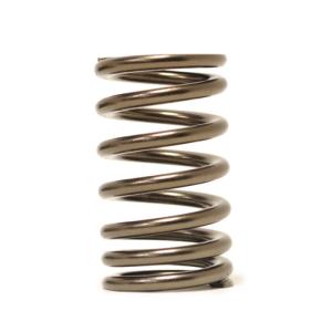 Tomei 4G63 Valve Springs for Evo/DSM (TA304A-MT01A)