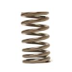 Tomei 4G63 Valve Springs for Evo/DSM (TA304A-MT01A)