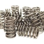 Tomei 4G63 Valve Springs for Evo/DSM (TA304A-MT01A)