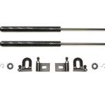GReddy Carbon Fiber Hood Damper for Evo X (18530101)