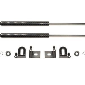 GReddy Carbon Fiber Hood Damper for Evo X (18530101)