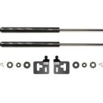 GReddy Carbon Fiber Hood Damper for 05-07 WRX/STi (18560101)