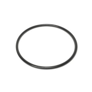 Nissan OEM Water Pump Oring for R35 GTR