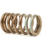 HKS Valve Springs for 4G63 DSM/Evo (22001-AM001)