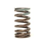 HKS Valve Springs for 4G63 DSM/Evo (22001-AM001)