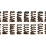 HKS Valve Springs for 4G63 DSM/Evo (22001-AM001)