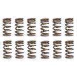 Manley Valve Springs & Retainers for Evo X 4B11
