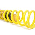 KW HAS Height Adjustable Spring Kit for R35 GTR (25385006)