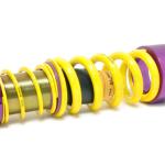 KW HAS Height Adjustable Spring Kit for R35 GTR (25385006)