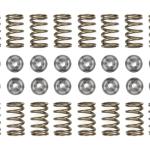 Manley Valve Springs & Retainers (Single) for Evo/DSM 4G63