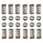 Manley Valve Springs & Retainers for Evo X 4B11