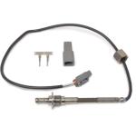AEM RTD Type Exhaust Gas Temperature Kit (30-2050)