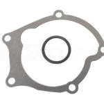 Gates Water Pump for 1G DSM (42163)