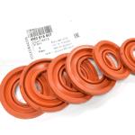 Audi OEM Front Caliper Seal Kit for RS3 8Y (4M0615507)