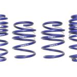 H&R Lowering Springs for 2017-2021 Audi RS3 (50345)