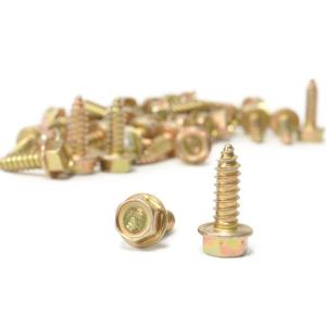 Moroso Wheel Rim Screws (90100)