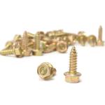 Moroso Wheel Rim Screws (90100)