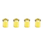 Dress Up Bolts Titanium Valve Stem Caps (ACC-001)