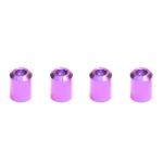 Dress Up Bolts Titanium Valve Stem Caps (ACC-001)