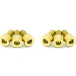 Dress Up Bolts Titanium Hardware for TiAL Q/QR BOV (ACC-019)