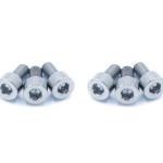 Dress Up Bolts Titanium Hardware for TiAL Q/QR BOV (ACC-019)