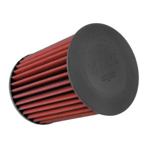 AEM DryFlow Air Filter for Focus RS (AE-20993)