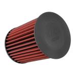 AEM DryFlow Air Filter for Focus RS (AE-20993)