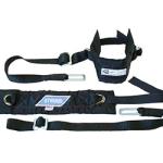 Stroud Arm Restraints