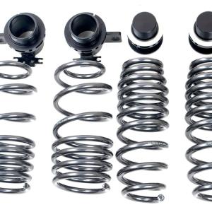 AST Adjustable Lowering Springs for F8X BMW M2/M3/ M4 (ASTALS-21-001)