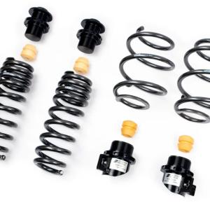 AST Adjustable Lowering Springs for 07+ Nissan GTR R35 (ASTALS-21-002)
