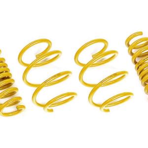AST Suspension Lowering Springs for 2018+ Trackhawk