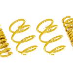 AST Suspension Lowering Springs for 2018+ Trackhawk