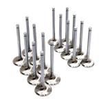 BC Brian Crower Intake and Exhaust Valves for Mitsubishi Evo X