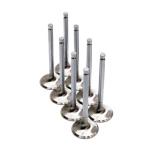 BC Brian Crower Intake and Exhaust Valves for Mitsubishi Evo X