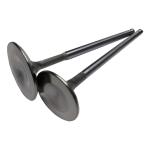 BC Brian Crower Intake and Exhaust Valves for Mitsubishi Evo X