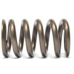 BC Valve Springs and Retainers for Mitsubishi Evo X (BC0130)