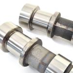 BC Brian Crower Cams for 1G/2G DSM & Evo 1-3