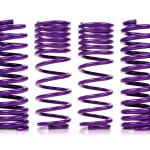 D2 Lowering Springs for Nissan 350Z/G35 (D-SP-NI-03)