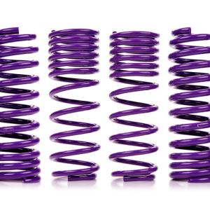 D2 Lowering Springs for Nissan 370Z/G37 (D-SP-NI-04)