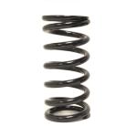 Random D2 Coilover Spring