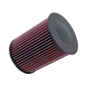 K&N Replacement Air Filter for Focus RS (E-2993)