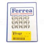 Ferrea Single Valve Spring Kit for R35 GTR (KT4016)