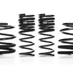 Eibach Pro Lowering Springs for 2016+ Focus RS (E10-35-023-14-22)