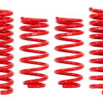 Eibach Sportline Lowering Springs for 2017+ Audi RS3 (E20-15-021-06-22)