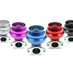 TiAL Sport F38 38mm Wastegate