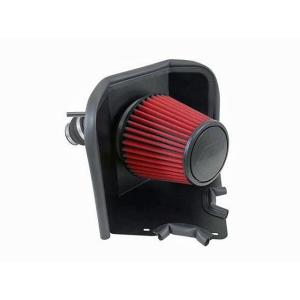 AEM Cold Air Intake