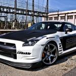 Seibon Carbon Fiber Front Grille for R35 GTR 2009-2011 (FG0910NSGTR-OE)